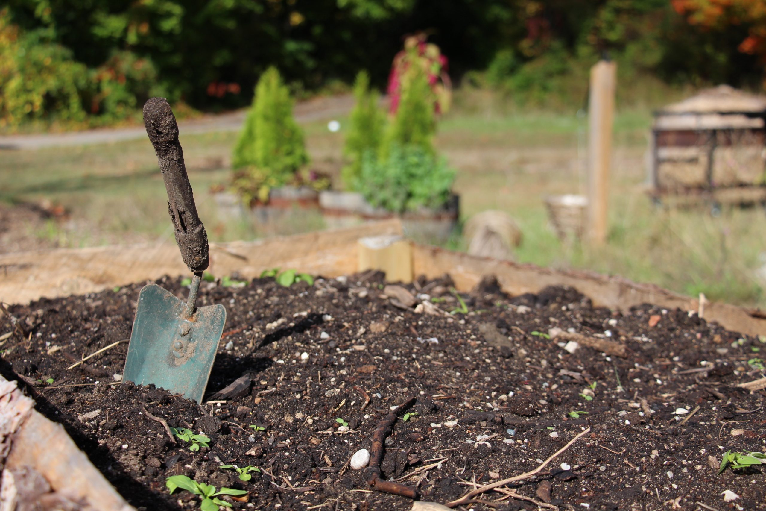 a spade in a recently constructed garden bed